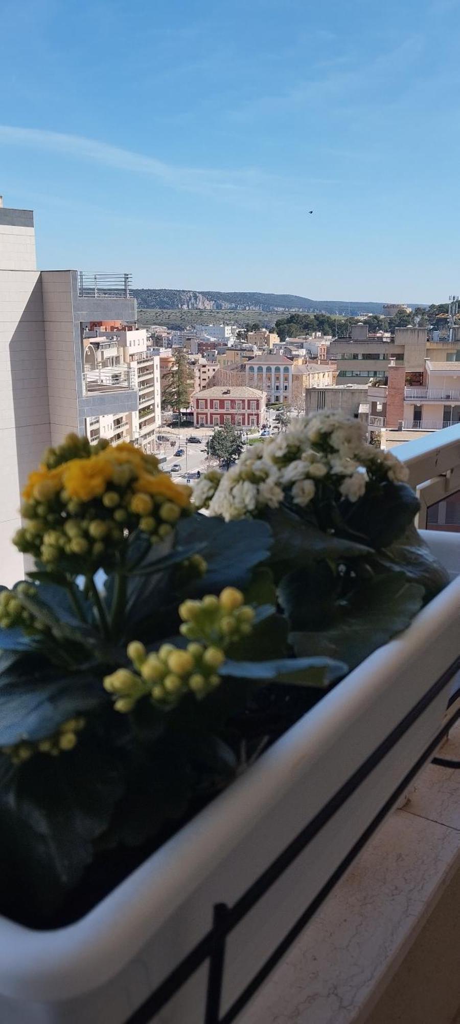 My Home Ματέρα Εξωτερικό φωτογραφία